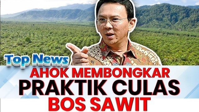 Ahok Ingatkan Bahaya Sawit di Hutan Papua: Flora Fauna Terancam, Bencana Mengintai Sumatera Jilid 2 Bakal Terjadi!