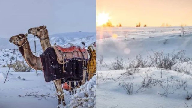 VIRAL Seantero Dunia! Tanah Arab Tiba-Tiba Bersalju, Warga Dunia Sampai Tak Percaya Mata Sendiri