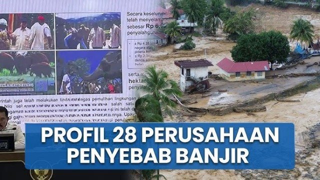Istana Beber Daftar ‘Dosa’ 28 Perusahaan Perusak Hutan Sumatra