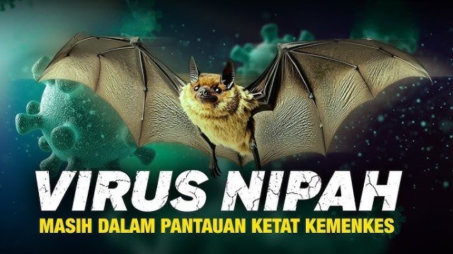 Lagi Ramai Virus Nipah, Hasil Penelitian: Kelelawar di Kalimantan Barat dan Jawa Bawa Genom Berbahaya!