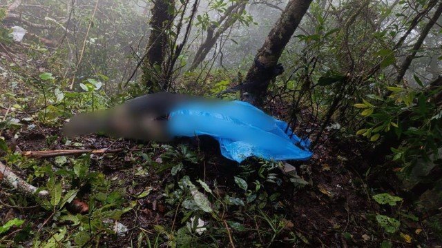 Merinding! Jejak Pohon Patah di Lereng Berkabut, Cerita Saipul Menemukan Korban Pesawat ATR 42-500