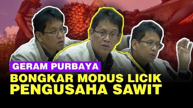 Purbaya: Kita ‘Dikibulin’ Para Pengusaha Sawit Selama Beberapa Tahun!