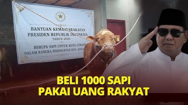 Borok Mulai Tercium MUI Minta 1.098 Sapi Kurban Prabowo Diaudit Rakyat Berhak Tahu Sumber Dananya!