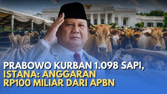 Haram Pakai APBN? PDIP Senggol Prabowo Soal Sapi Kurban: Cari Pahala Kok Pakai Uang Rakyat!