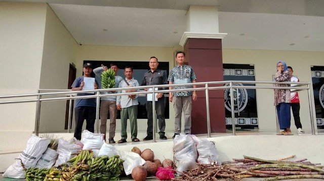 IRONI HUKUM! Tiga Petani Mukomuko Kena Denda Rp 3 Miliar Tak Mampu Bayar, Terpaksa Bawa Ubi, Pisang & Kelapa